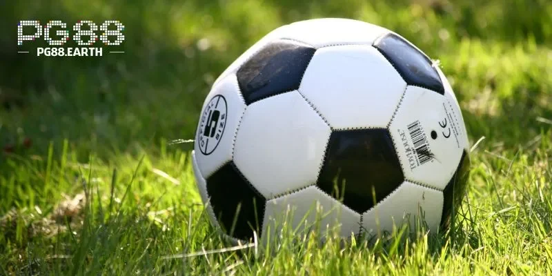 Giúp bạn tối ưu hóa cơ hội thắng bằng cách theo sát từng thay đổi trong trận đấu