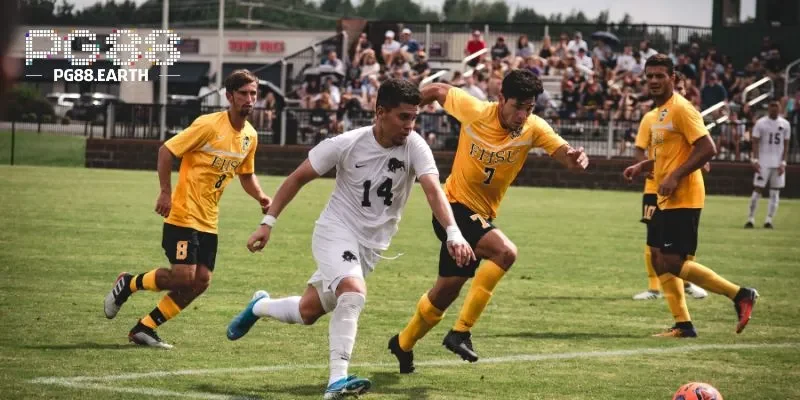 Hệ thống tại PG88 còn cho phép bạn so sánh trực tiếp các tỷ lệ cược khác nhau