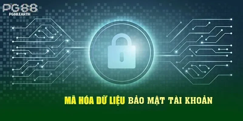 Nội dung của chính sách miễn trừ trách nhiệm PG88