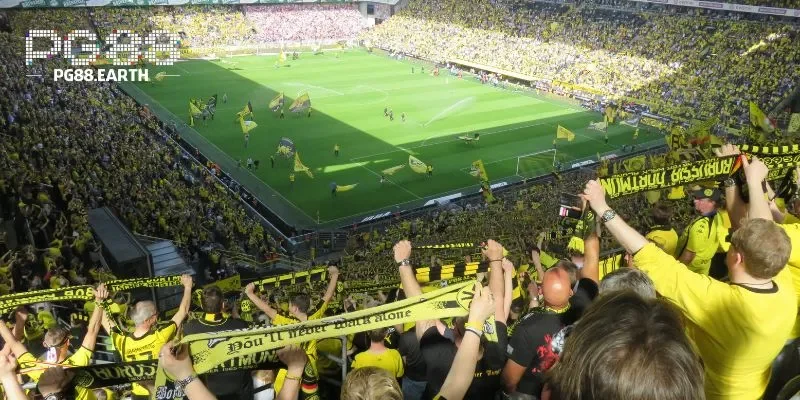 Tạo cơ hội để tham gia lâu dài và học hỏi thêm kinh nghiệm cùng các chuyên gia tại PG88