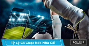 Cách Đọc Tỷ Lệ Cá Cược Nhà Cái & Ý Nghĩa Các Loại Kèo