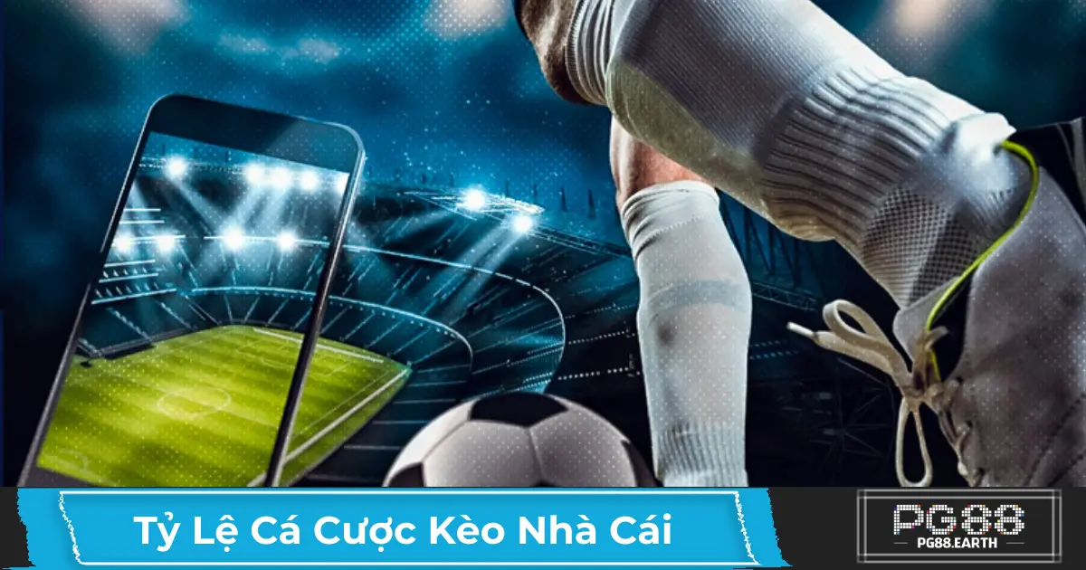 Cách Đọc Tỷ Lệ Cá Cược Nhà Cái & Ý Nghĩa Các Loại Kèo