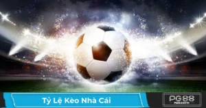 Tỷ Lệ Kèo Nhà Cái PG88 Là Gì? Cách Đọc & Ý Nghĩa