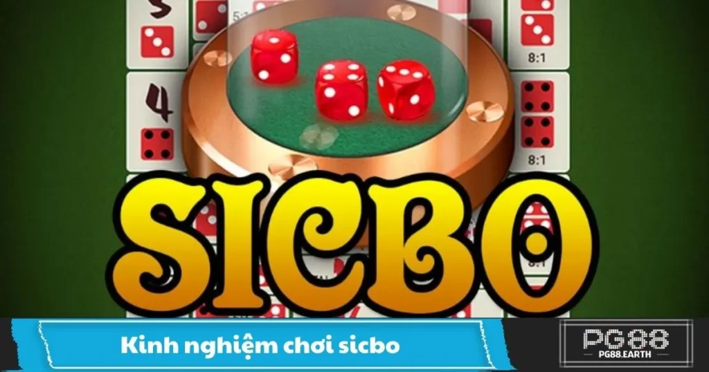 Kinh Nghiệm Chơi Sicbo PG88 – Cách Đặt Cược Chuẩn Xác