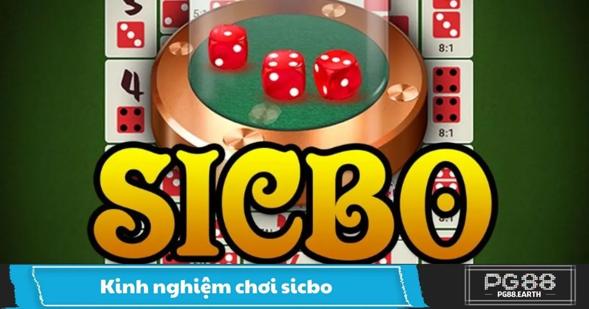 Kinh Nghiệm Chơi Sicbo PG88 – Những Sai Lầm Người Mới Thường Mắc Khi Chơi Sicbo